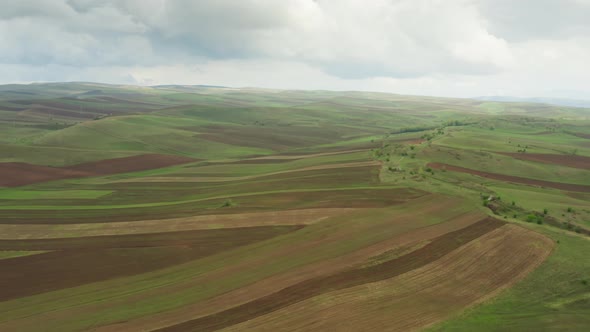 A Beautiful Aerial Landscape Over Fields with Green Grass and Brown Plowed Fields with Land Against