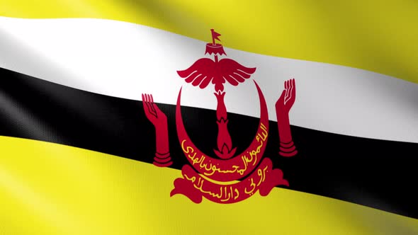 Flag of The Brunei