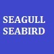 Seagull