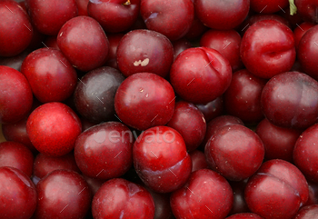 Fresh red purple plums on market stall