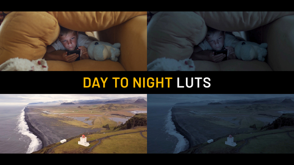 Day to Night LUTs