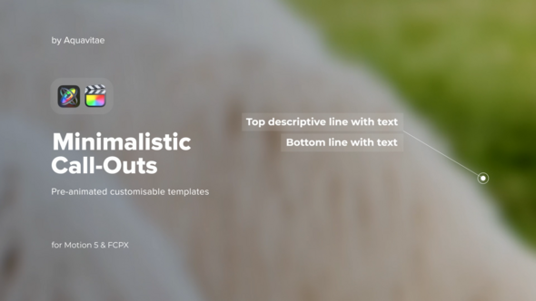 Minimalistic Call Out Titles for FCPX & Motion alt