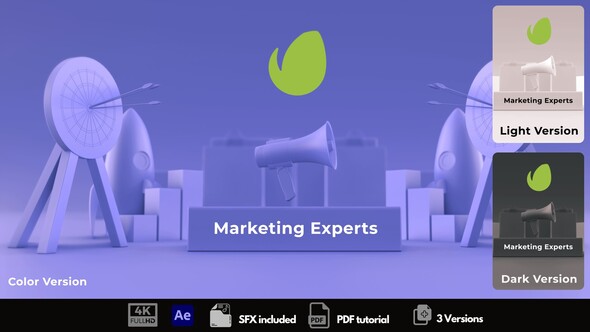 Marketing Experts