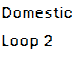 Domestic Loop 2