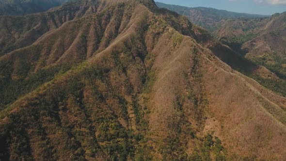 View of Mountain Forest Landscape