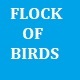 Flock of Birds Taking Off