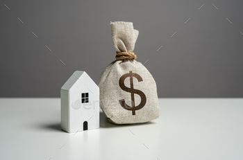 House and dollar money bag. Property value appraisal.