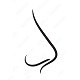 Nose Inspiration