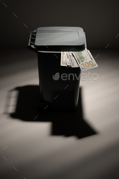 Money banknotes in garbage bin