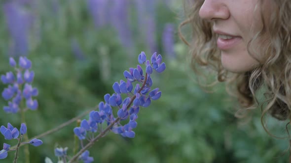 Portrait Curly Beautiful Girl in Dress and Hat Sniffs Aroma of Blooming Lupine and Closes Her Eyes