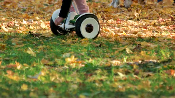 Girl Pick Up Fallen Oak Leaves Riding Electrical Gyroscooter.