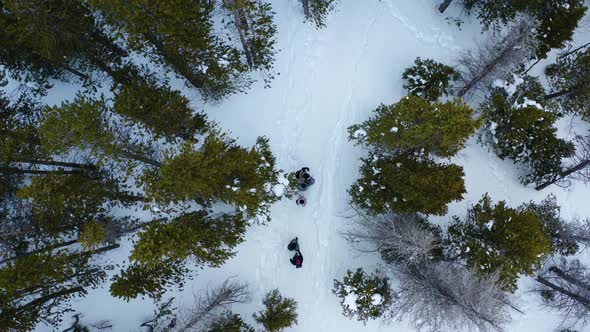 Aerial tracking birds eye view shot of a group of people walking through trees on a snowy mountain