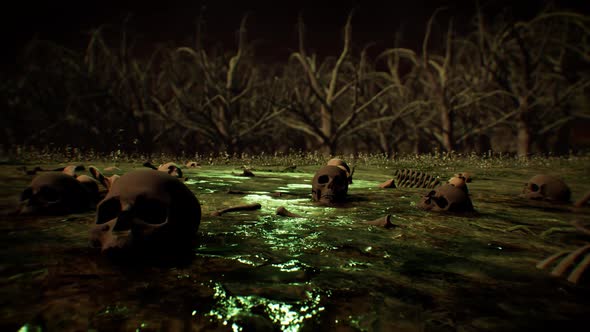 Human Bones On The Polluted Dead Forest Ground 4K 03