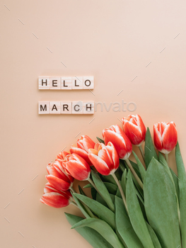 Hello march concept on peach fuzz color