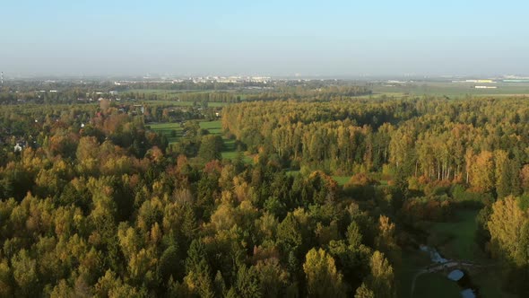 Autumn Forest Aerial View From Drone