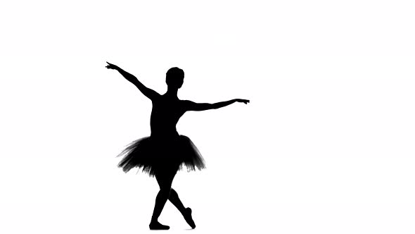 Portrait of the Ballerina in Ballet Pose on White, Silhouette