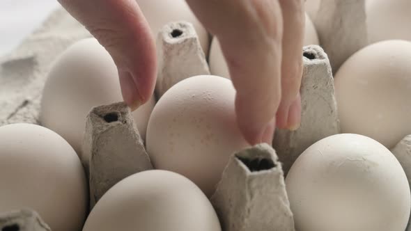 Close-up taking of  white chicken egg  4K footage