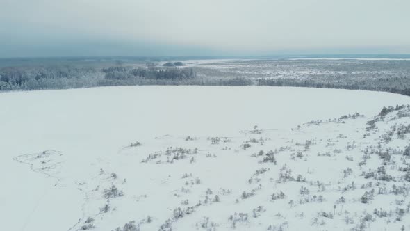 The Drone Flies Over the Snowcovered Taiga Frozen Swamp Covered with Ice and Snowdrifts Evergreen