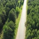 Road in Coniferous Forest Summer Aerial Drone - VideoHive Item for Sale