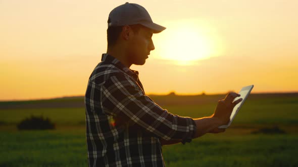 Agronomist Farmer Man Using Digital Tablet Computer in a Young Wheat Field at Sunset