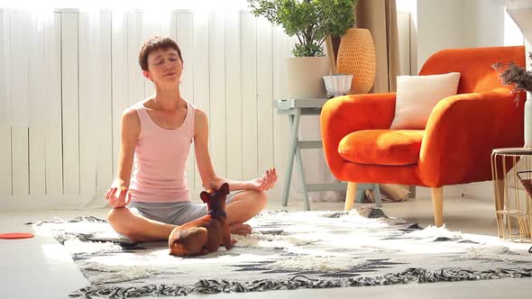 Woman Sportswear Sits Lotus Position Home Floor Domestic Small Brown Dog