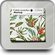 Fabric Swatches Mockup - GraphicRiver Item for Sale