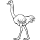 Ostrich