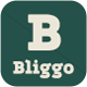 Bliggo - News & Magazine WordPress Blog Theme - ThemeForest Item for Sale