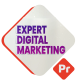 Expert Digital Marketing - VideoHive Item for Sale
