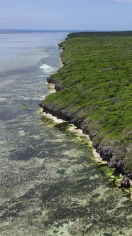 Tanzania  Coast of Zanzibar Island Covered with Thickets Slow Motion