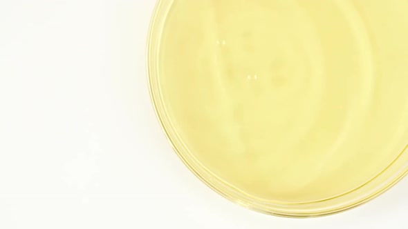 Slow Motion of Transparent Yellow Cosmetic Fluid Dripping Into the Glass Petri Dish alt