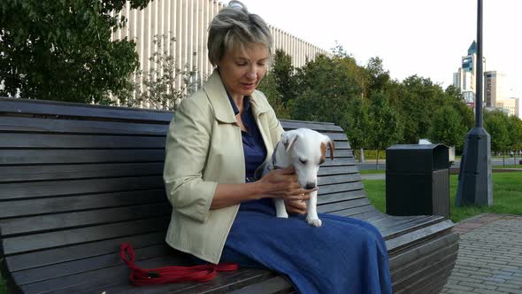 Woman Sitting in Park with Pregnant Dog