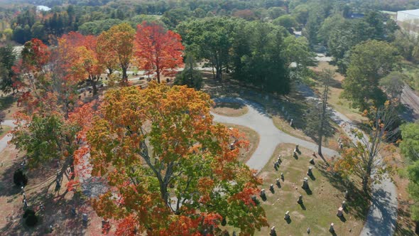 Aerial Drone Shot Flying Over Mt Feake Cemetery in Waltham Mass with Fall Colors