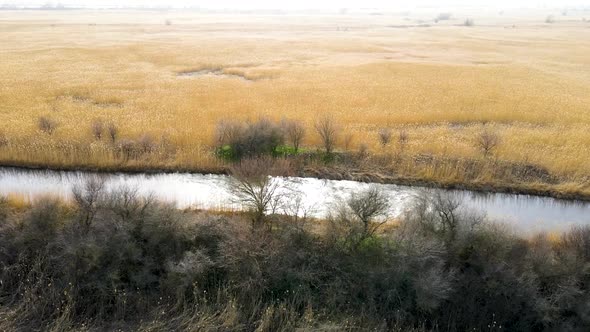 The drone flies over the forest belt and the river