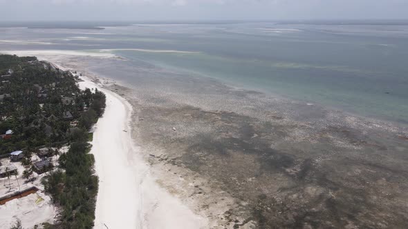 Low Tide in the Ocean Near the Coast of Zanzibar Island Tanzania