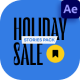 Holiday Sale Video Stories Display After Effect Template - VideoHive Item for Sale