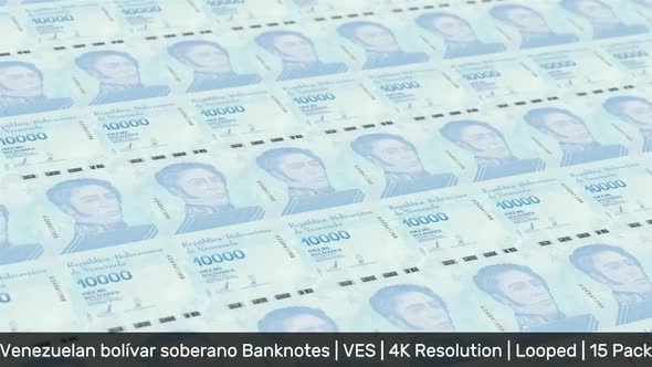 Venezuela Banknotes Money / Venezuelan bolívar / Currency Bs.D / VED / 15 Pack - 4K