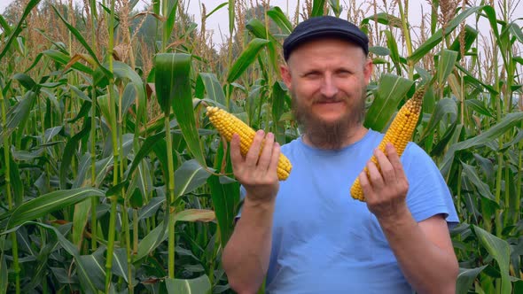 Simple Life on a Farm Growing Corn in the Fields a Farmer Stands in a Corn Field with a Corn Crop in