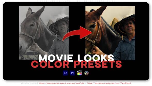 Movie Looks LUTs - Color Presets Pack