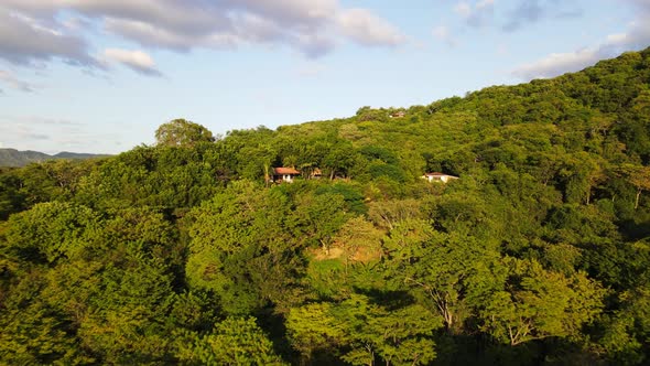 Backwards aerial zoom shot low above the tree tops of a central American rainforest during vibrant s