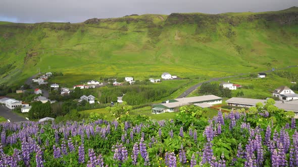 Beautiful Town of Vik i Myrdal Iceland in Summer