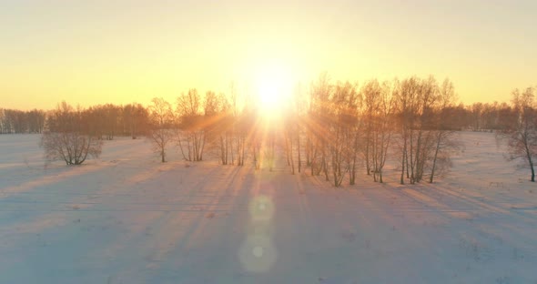 Aerial Drone View of Cold Winter Landscape with Arctic Field Trees Covered with Frost Snow and