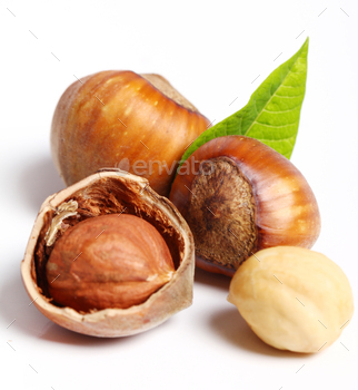 Close up of hazelnuts