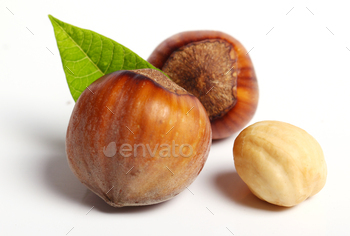 Close up of hazelnuts