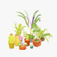 Low Poly Houseplants Pack - 3DOcean Item for Sale
