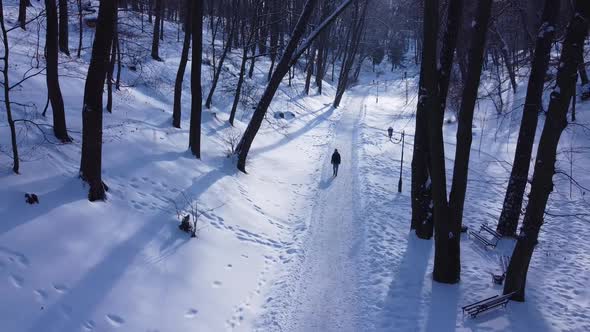 Aerial view of a drone flying over the winter park.