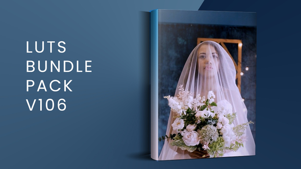 LUTs Bundle Pack V106  | FCPX alt