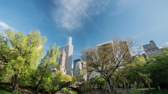 Central Park in New York