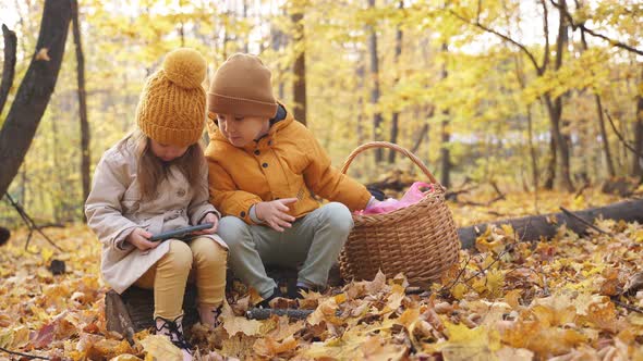 Little Kids Use Smartphone in Forest