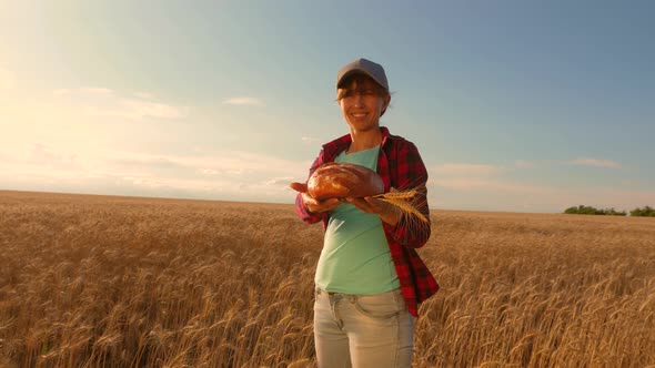 Happy Woman Farmer Holds Out a Loaf of Wheat Bread in His Hands, Over a Field of Wheat. Fresh Rye